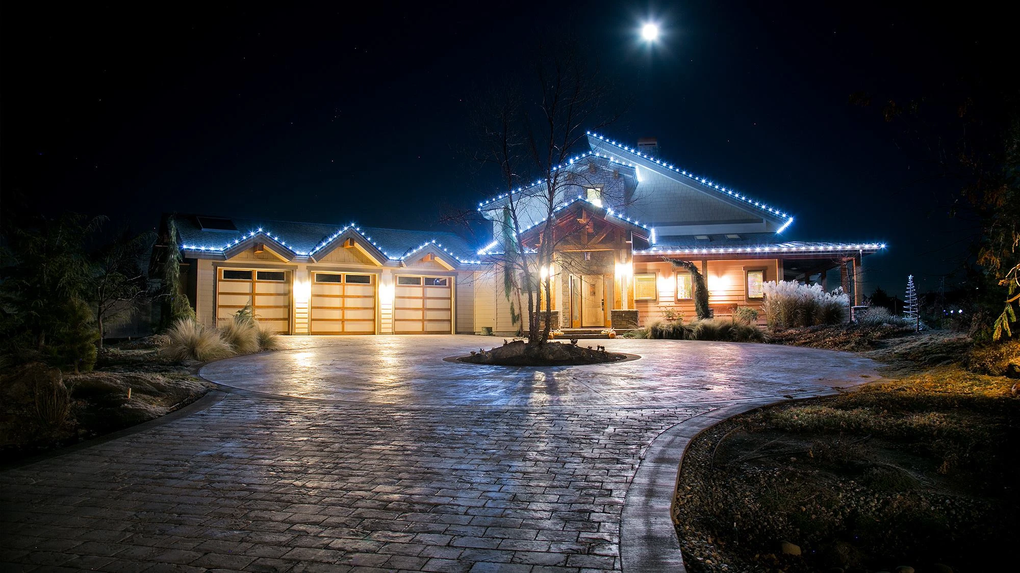 Christmas lights