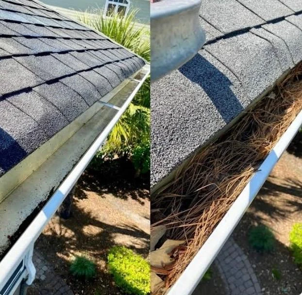 Gutter cleaning